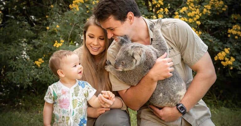 Bindi Irwin Posts a Cute Comparison Photo of Baby Grace with a Koala